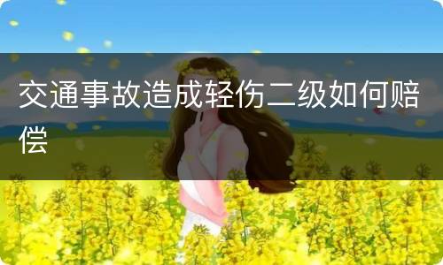 交通事故造成轻伤二级如何赔偿