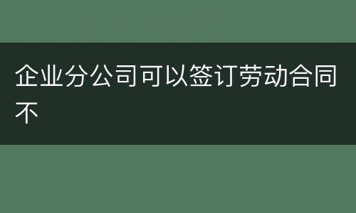 企业分公司可以签订劳动合同不