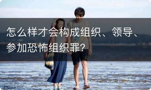 怎么样才会构成组织、领导、参加恐怖组织罪？