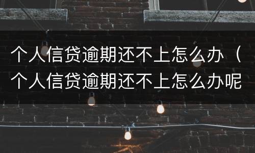 个人信贷逾期还不上怎么办（个人信贷逾期还不上怎么办呢）