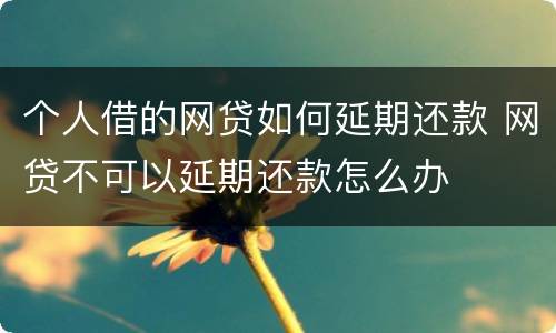 个人借的网贷如何延期还款 网贷不可以延期还款怎么办