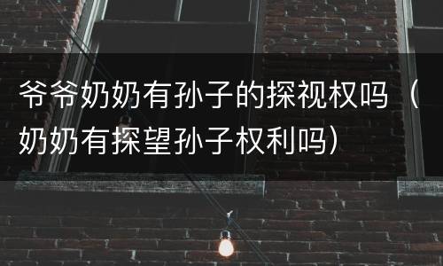 爷爷奶奶有孙子的探视权吗（奶奶有探望孙子权利吗）