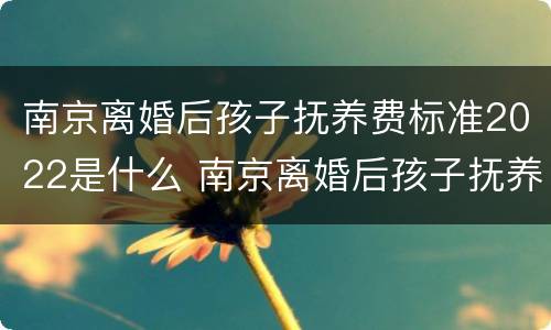 南京离婚后孩子抚养费标准2022是什么 南京离婚后孩子抚养费标准2022是什么样的