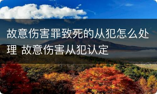 故意伤害罪致死的从犯怎么处理 故意伤害从犯认定