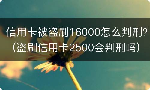 信用卡被盗刷16000怎么判刑？（盗刷信用卡2500会判刑吗）