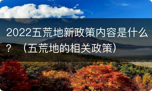 2022五荒地新政策内容是什么？（五荒地的相关政策）