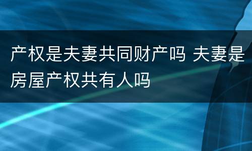 产权是夫妻共同财产吗 夫妻是房屋产权共有人吗
