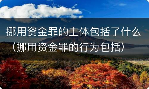挪用资金罪的主体包括了什么（挪用资金罪的行为包括）
