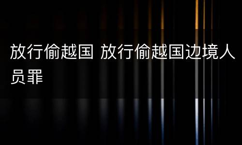 放行偷越国 放行偷越国边境人员罪
