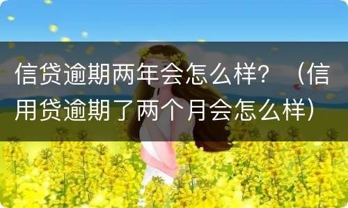 信贷逾期两年会怎么样？（信用贷逾期了两个月会怎么样）