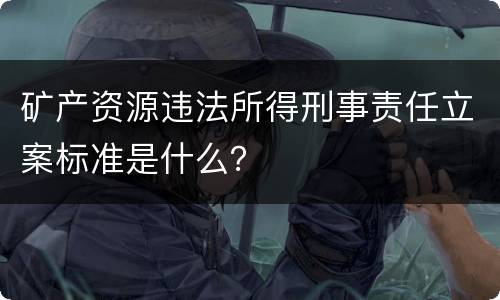矿产资源违法所得刑事责任立案标准是什么？