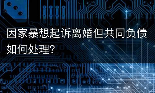 因家暴想起诉离婚但共同负债如何处理？