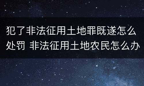 犯了非法征用土地罪既遂怎么处罚 非法征用土地农民怎么办