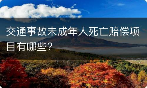 交通事故未成年人死亡赔偿项目有哪些?