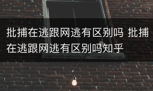 批捕在逃跟网逃有区别吗 批捕在逃跟网逃有区别吗知乎