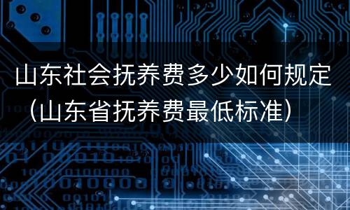 山东社会抚养费多少如何规定（山东省抚养费最低标准）