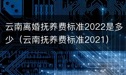 云南离婚抚养费标准2022是多少（云南抚养费标准2021）