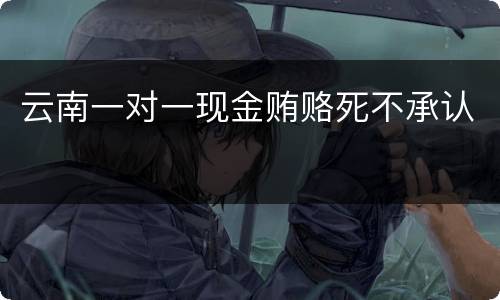 云南一对一现金贿赂死不承认