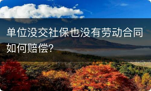 单位没交社保也没有劳动合同如何赔偿？