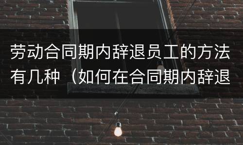 劳动合同期内辞退员工的方法有几种（如何在合同期内辞退员工）