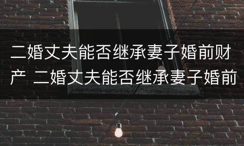 二婚丈夫能否继承妻子婚前财产 二婚丈夫能否继承妻子婚前财产呢
