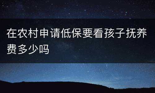在农村申请低保要看孩子抚养费多少吗