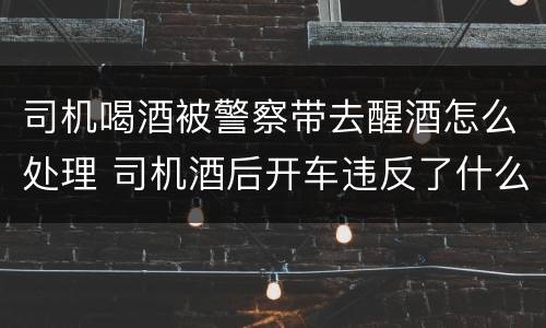 司机喝酒被警察带去醒酒怎么处理 司机酒后开车违反了什么法律