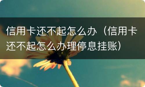 信用卡还不起怎么办（信用卡还不起怎么办理停息挂账）