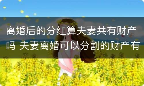 离婚后的分红算夫妻共有财产吗 夫妻离婚可以分割的财产有哪些