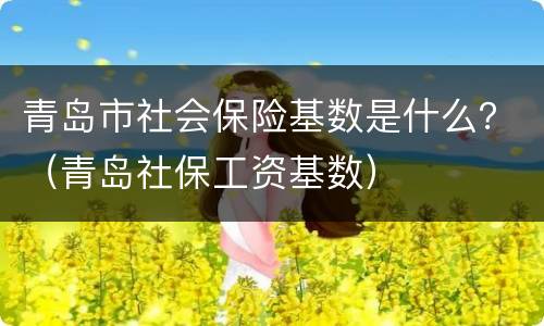 青岛市社会保险基数是什么？（青岛社保工资基数）