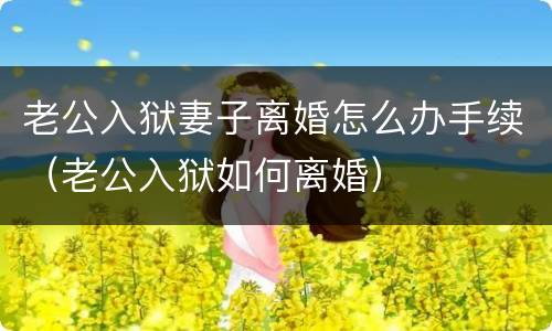 老公入狱妻子离婚怎么办手续（老公入狱如何离婚）
