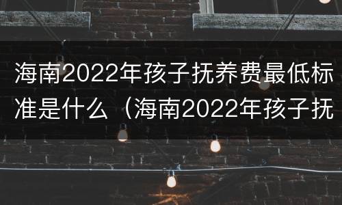 海南2022年孩子抚养费最低标准是什么（海南2022年孩子抚养费最低标准是什么呢）