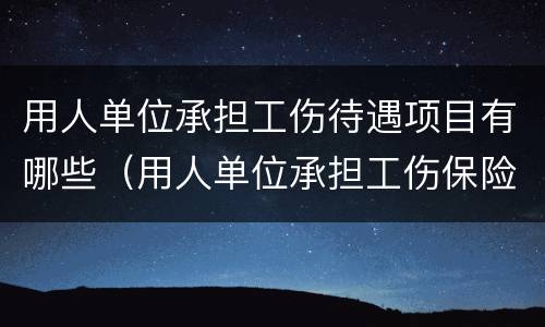 用人单位承担工伤待遇项目有哪些（用人单位承担工伤保险待遇）