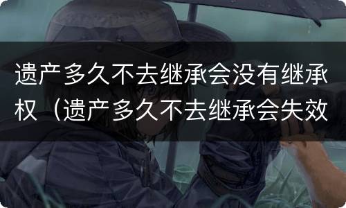 遗产多久不去继承会没有继承权（遗产多久不去继承会失效）