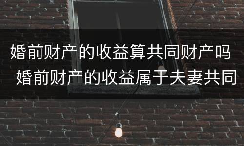 婚前财产的收益算共同财产吗 婚前财产的收益属于夫妻共同财产吗