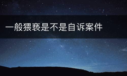 一般猥亵是不是自诉案件