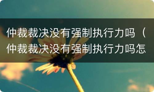 仲裁裁决没有强制执行力吗（仲裁裁决没有强制执行力吗怎么办）