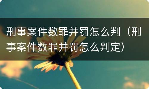 刑事案件数罪并罚怎么判（刑事案件数罪并罚怎么判定）
