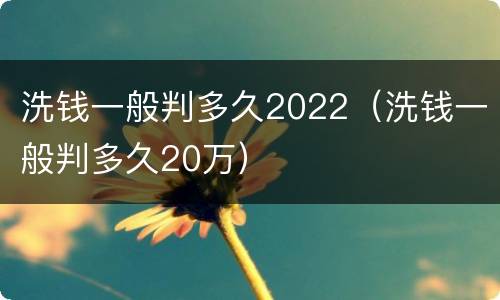 洗钱一般判多久2022（洗钱一般判多久20万）