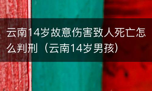 云南14岁故意伤害致人死亡怎么判刑（云南14岁男孩）