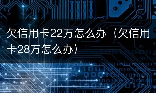 欠信用卡22万怎么办（欠信用卡28万怎么办）