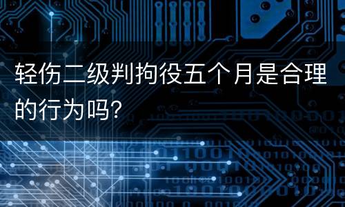 轻伤二级判拘役五个月是合理的行为吗？