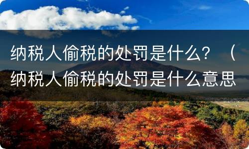 纳税人偷税的处罚是什么？（纳税人偷税的处罚是什么意思）
