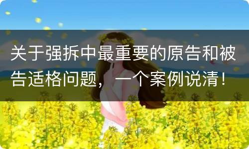 关于强拆中最重要的原告和被告适格问题，一个案例说清！