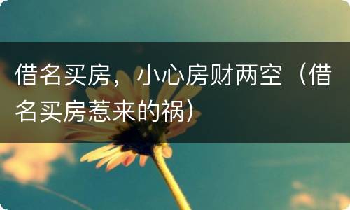 借名买房，小心房财两空（借名买房惹来的祸）