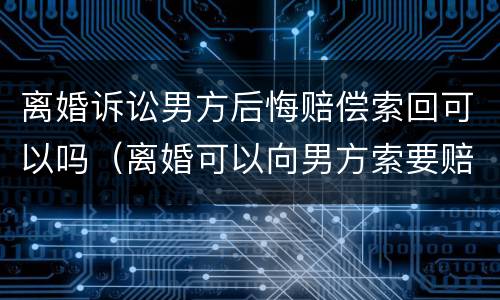 离婚诉讼男方后悔赔偿索回可以吗（离婚可以向男方索要赔偿吗）