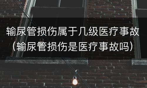 输尿管损伤属于几级医疗事故（输尿管损伤是医疗事故吗）