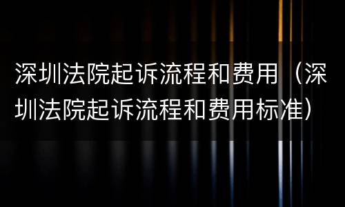 深圳法院起诉流程和费用（深圳法院起诉流程和费用标准）