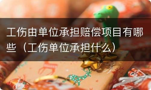 工伤由单位承担赔偿项目有哪些（工伤单位承担什么）