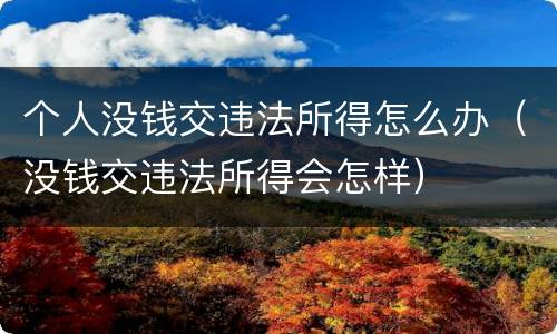 个人没钱交违法所得怎么办（没钱交违法所得会怎样）